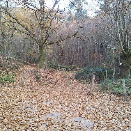 Διαμέρισμα Mirador De Miranda, Rural & Inc